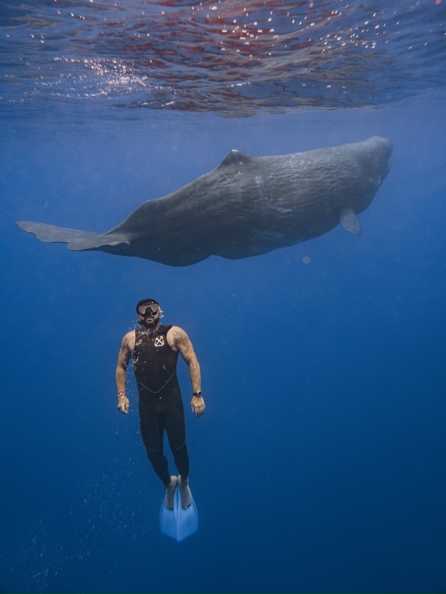 Завораживающие кадры с отдыха на Шри-Ланке от Тимати!
?...