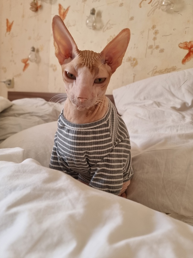 Всем привет! Мы тут новенькие, хотя и давно следим )
Зна?...