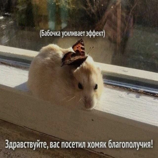 Ночная подборочка
Спать, режим