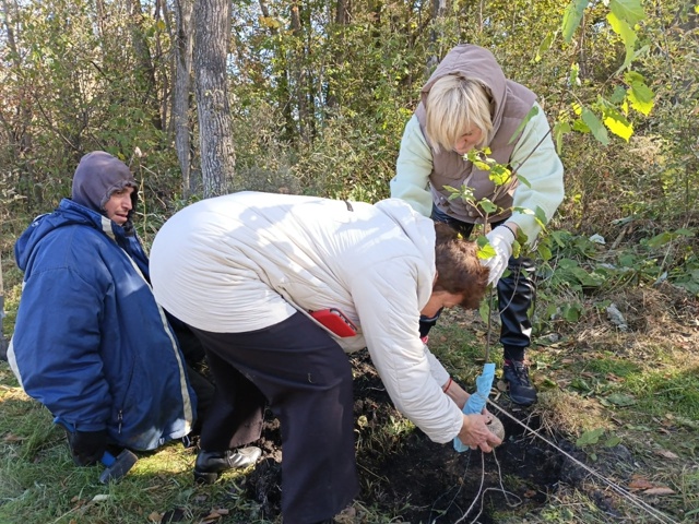 В Копейске снова ожила Аллея Героев ?✨
После весенне...