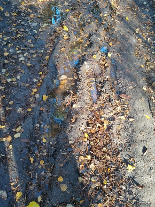 Добрый день, отрадненцы. Возник вопрос к тем, кто в курс...