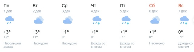 Зима не радует. Снег куда то ушел