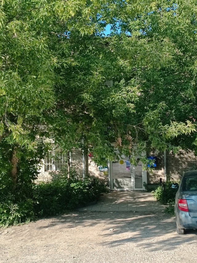 Где-то все деревья вырубили,одни пеньки остались,а в ра...