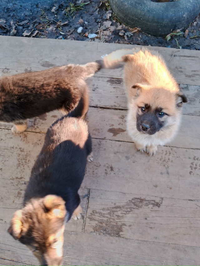 ‼️‼️‼️🆘🆘🆘‼️‼️‼️
ПРОШУ МАКСИМАЛЬНЫЙ РЕПОСТ‼...