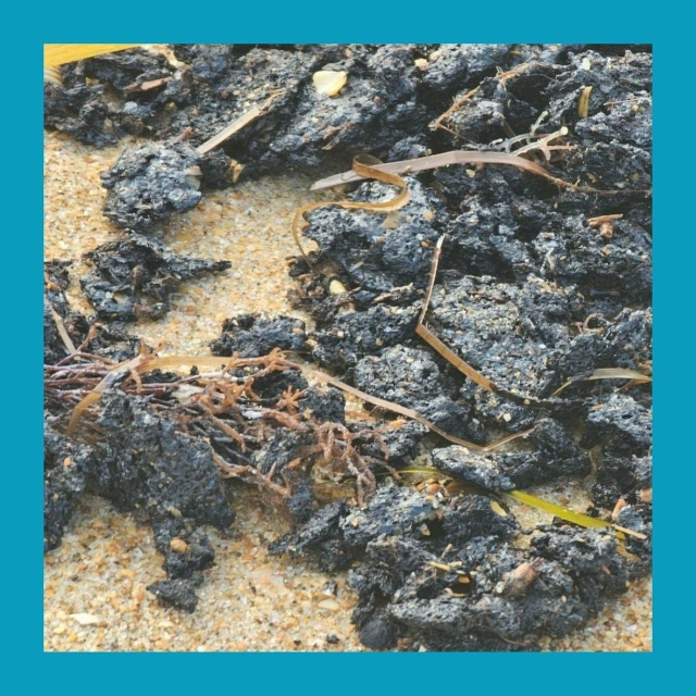 Дo 900 тoнн мaзутa у бepeгoв Анaпы — кaтacтpoфa нa пoдхoдe?
Πepвыe c?...