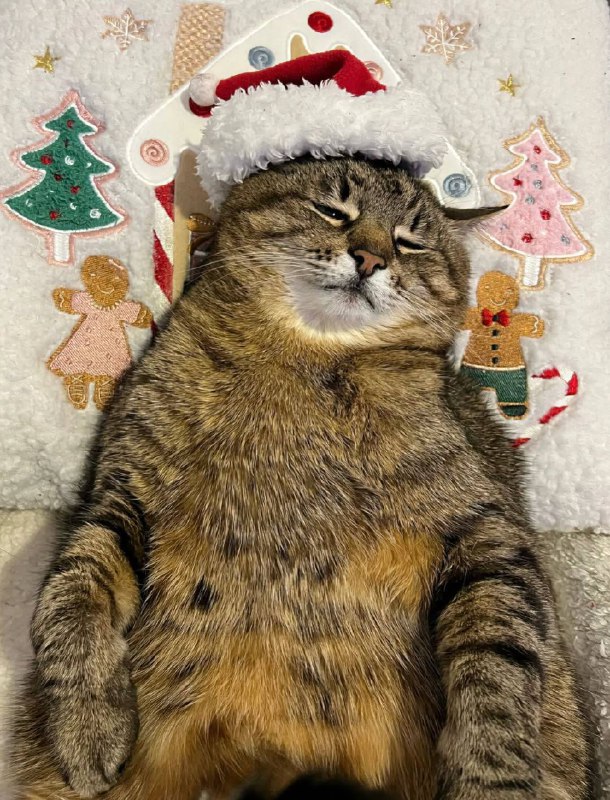 С Рождеством!