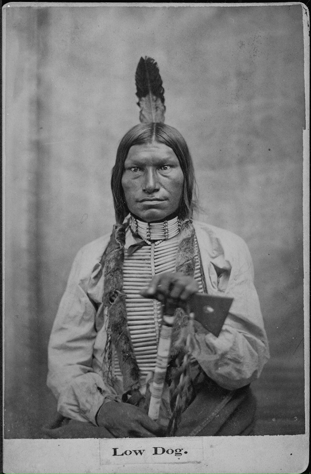 Вождь племени Оглала по кличке Низкий Пес, сражался вм?...
