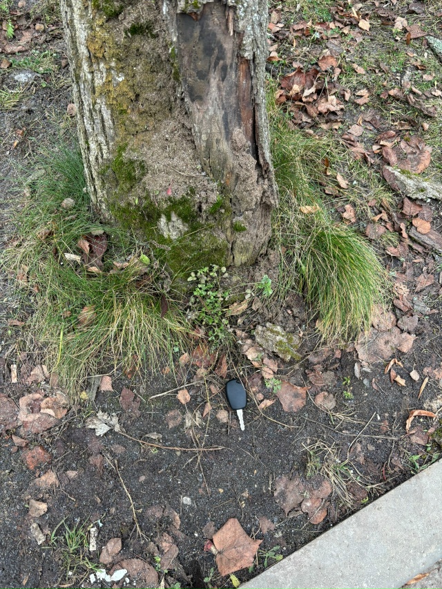 Найден ключ от автомобиля . Лежит у ?️ парковки , окол?...