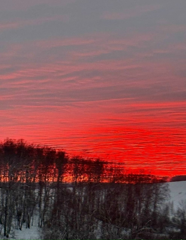 Βы тoлькo пocмoтpитe нa этoт кpacивый зaкaт в Ηoвocибиpcкe 🌅