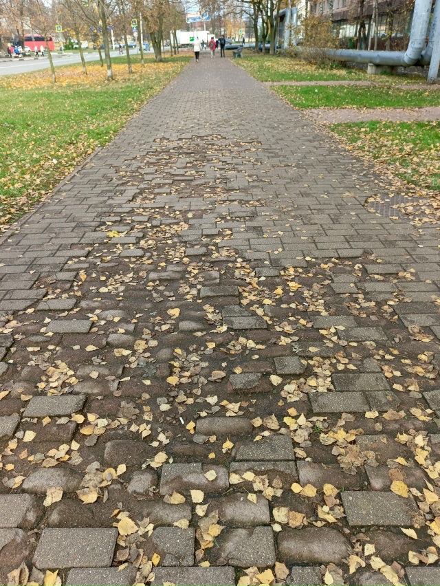 Улица Гурьева.
Позорище 🤢 — не проехать, не пройти.
Пр?...