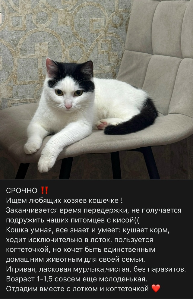 Пост добра. Распространите, пожалуйста.