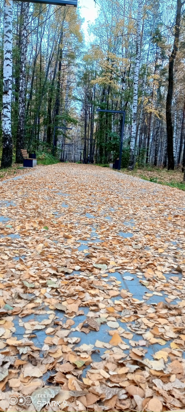 Листья желтые по городу летают...