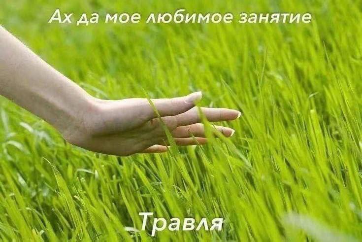 Утренняя подборочка