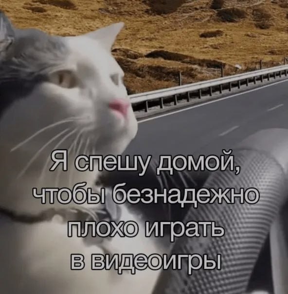 Ночная подборочка
Выходные, не спим