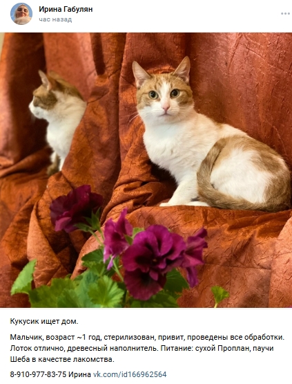 Пост добра. Распространите, пожалуйста.