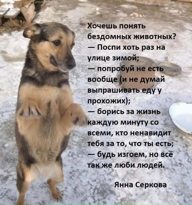 🆘🆘🆘🆘🆘🆘🆘🆘🆘🆘
. НАМ СРОЧНО НУЖНА ВАША ПОМОЩЬ
. ...