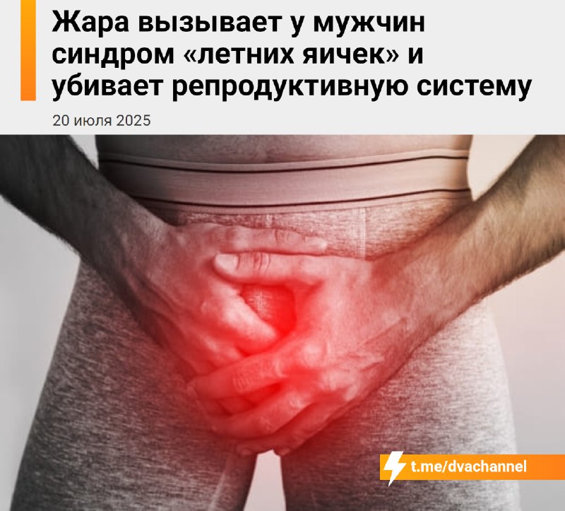 Летом у мужчин может начаться «синдром летних яиц» — в жару мошонка расслабляется, яички опускаются