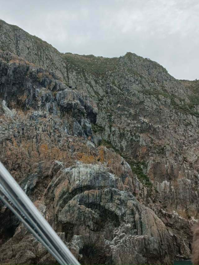 👋 Привет Коврову с Владивостока. Анон