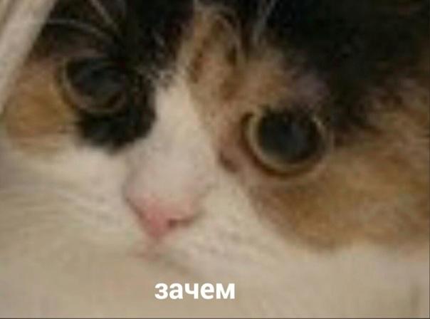 В России набирает популярность мода на трезвые свадьбы — молодожёны всё чаще отказываются от алкогол