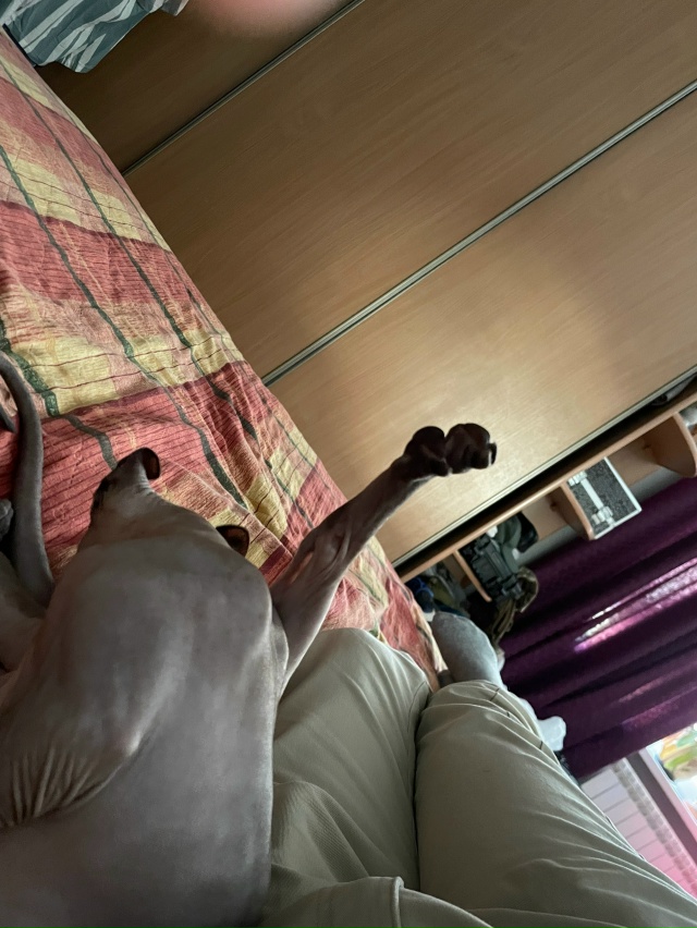 Всем привет! Это Титус, Тит, титька и окорочок. Мы ещё не...