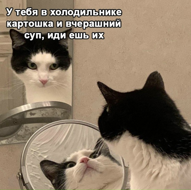 Вечная битва