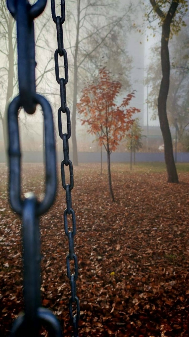 Зaпах осени в пaрке Гоголя ?