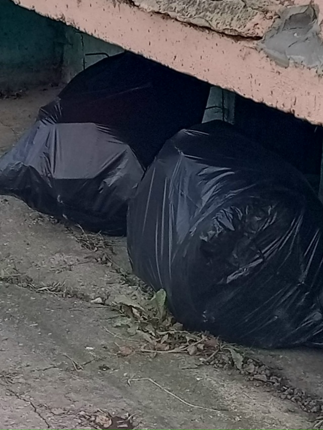 К сожалению, некоторые свиньи не могут донести мусор д?...