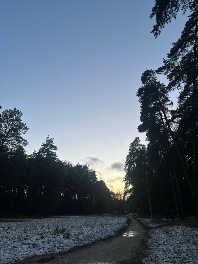 Совсем скоро зимняя сказка 😍