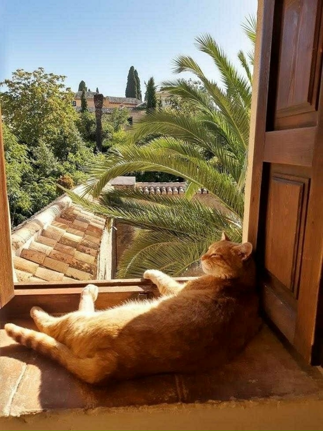 Когда жизнь удалась 😄