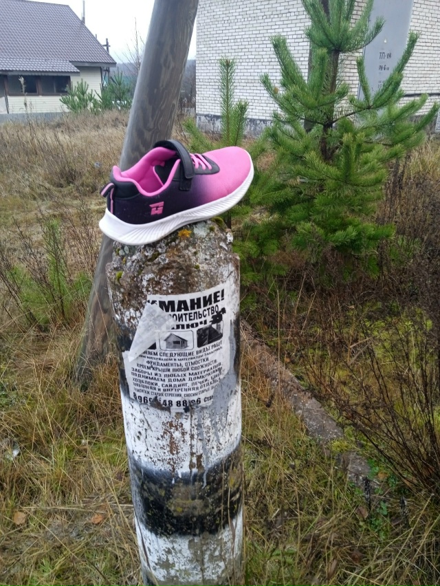 Варбеги, чья потеряшка