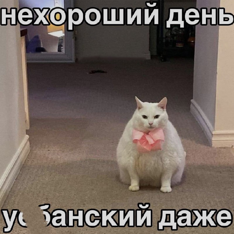 Ночная подборочка
Спать, режим