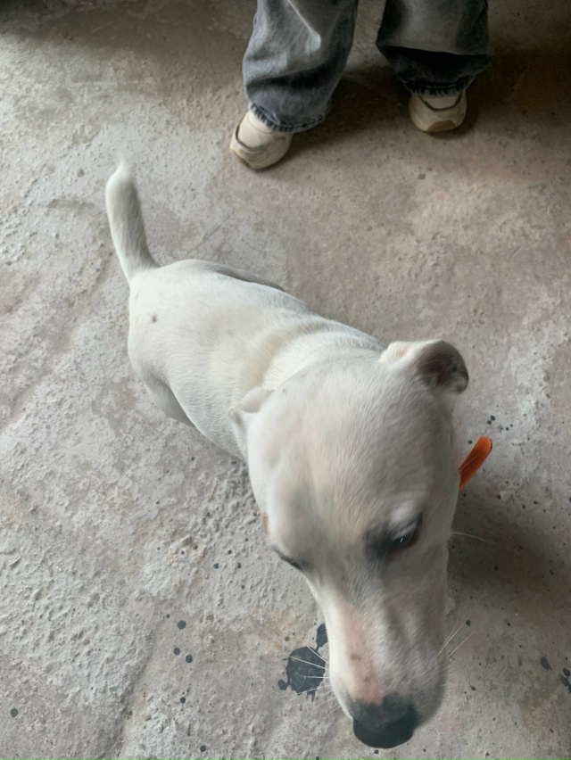 Потеряшка
Чей?
Спутник-1