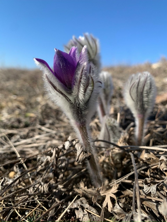 Министр экологии и природных ресурсов Республики Крым...