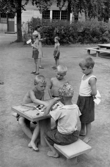 Шашки на свежем воздухе, летом, под деревьями - что може...