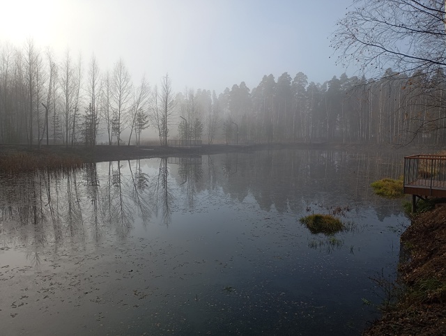 Новый строящийся парк 