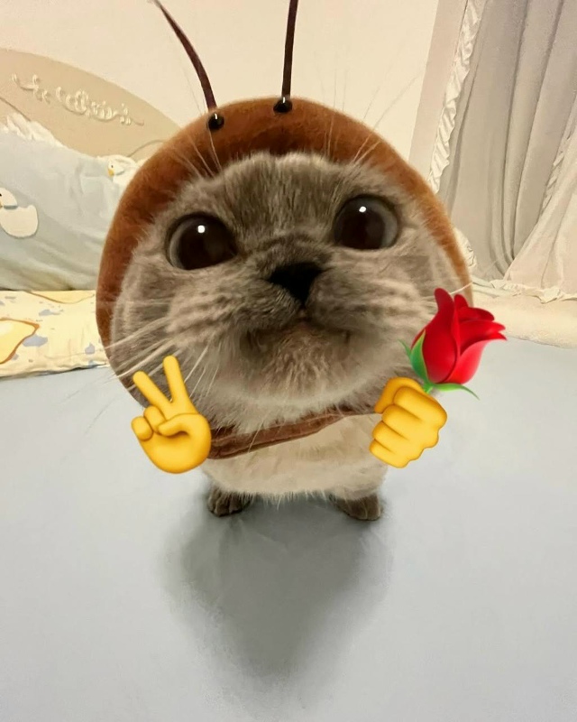 Самый прелестный жучок🥰