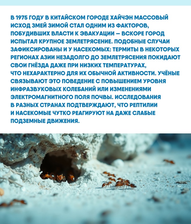 Обсуждение поведения животных в контексте природных к...