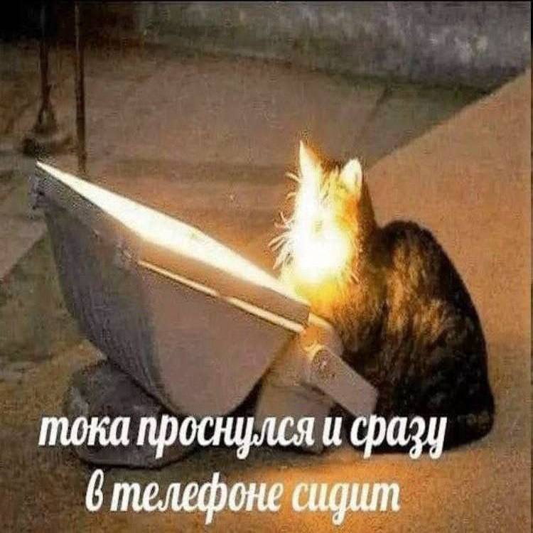 Утренняя подборочка