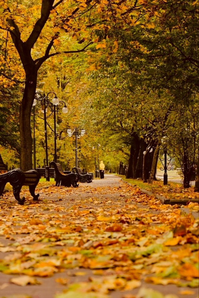 Осень в Екатерининском парке 🍁
Фото: Алексей Хусаин?...