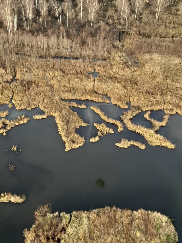 Ноябрь,вполне лётный месяц...