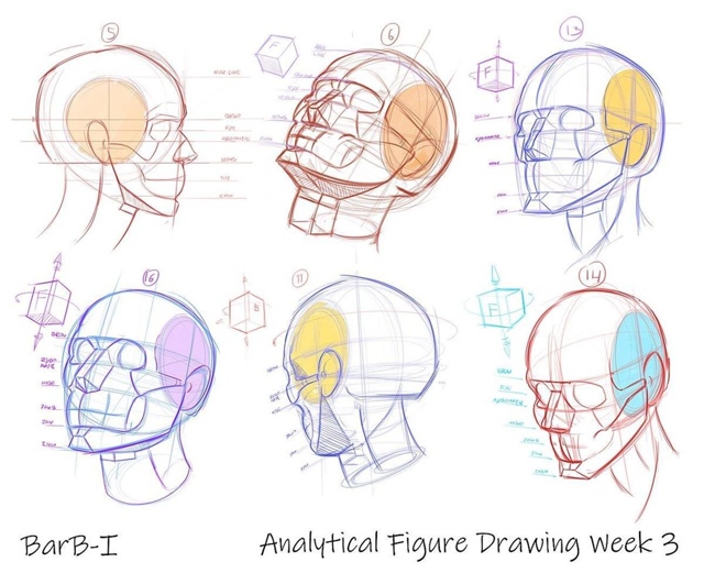Голова
Sketch
Tutorial