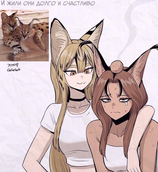 Как вам подборка?