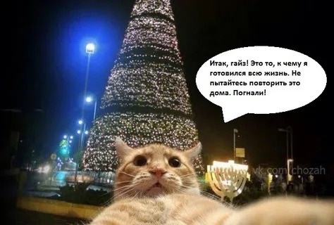 ?? 217 миллионов на подсветку: власти Перми потратят н...