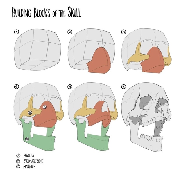 Голова
Sketch
Tutorial