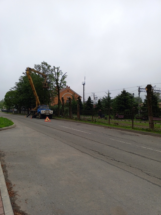 Работа кипит (( Последний островок зелени в центре горо...
