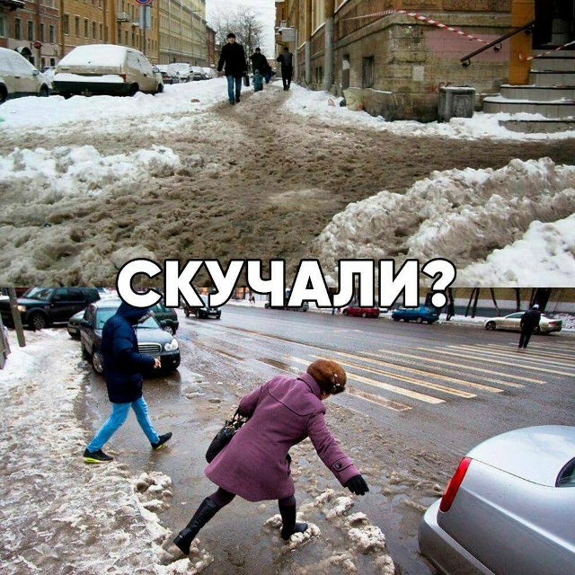 На следующей неделе может выпасть снег ❄️ - синоптики