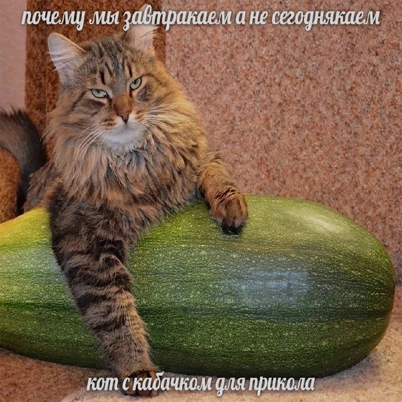 Ночная подборочка
Спать, режим