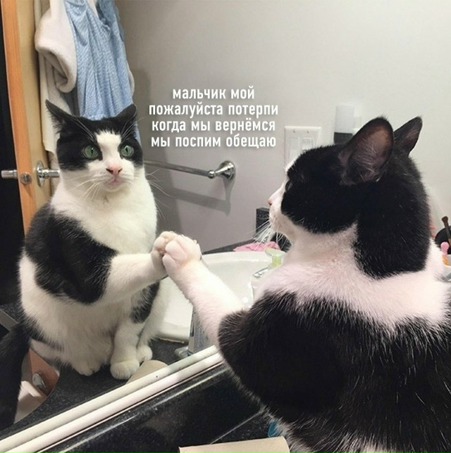 Просто напутствие себе утром