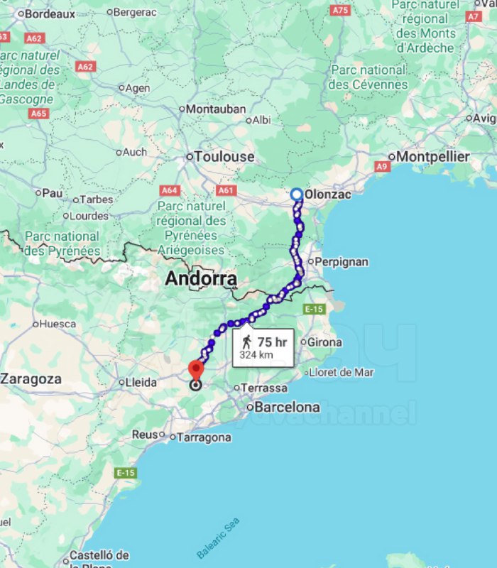 Кот Филу стал знаменитостью во Франции — он потерялся в Испании и сам нашёл дорогу домой
Питомца сл