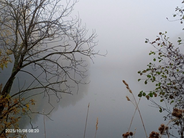 Ну как же не любить Россию?
Я тут родился, вырос и живу! ...